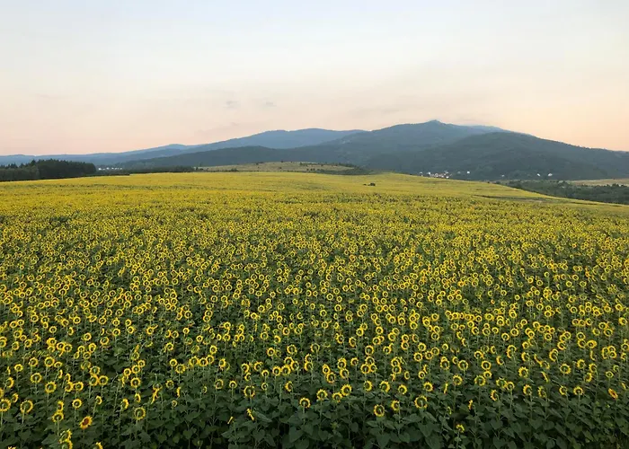 Lejlighed Lavender Dragichevo